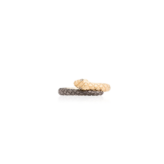 Two-Tone Serpentine Ring